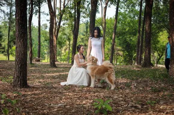 TRẢI NGHIỆM TRANG TRẠI CHÓ QUÝ TỘC GIỮA LÒNG HAPPY RANCH TRỊ AN